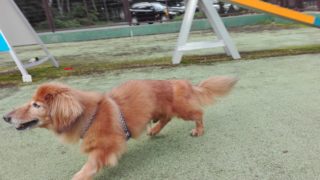 Thumbnail of post image 015