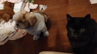 Thumbnail of post image 038