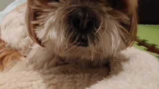 Thumbnail of post image 152