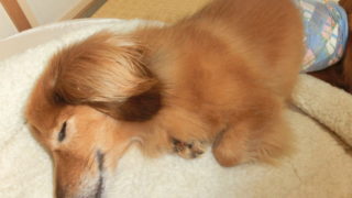 Thumbnail of post image 065