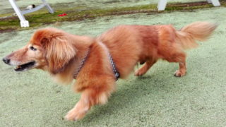 Thumbnail of post image 106