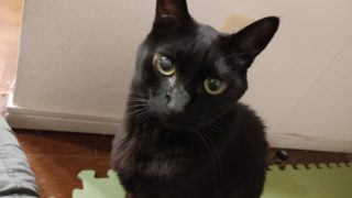 Thumbnail of post image 174