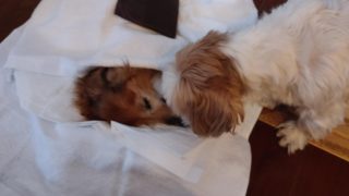 Thumbnail of post image 055