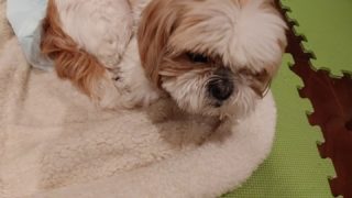 Thumbnail of post image 031