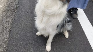 Thumbnail of post image 191