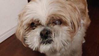 Thumbnail of post image 088