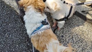 Thumbnail of post image 087