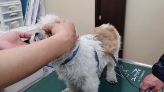 Thumbnail of post image 062