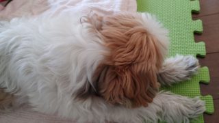 Thumbnail of post image 047