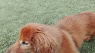 Thumbnail of post image 078