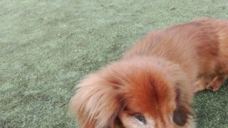 Thumbnail of post image 180