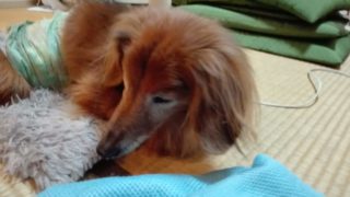 Thumbnail of post image 032