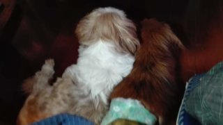 Thumbnail of post image 102