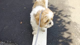 Thumbnail of post image 143