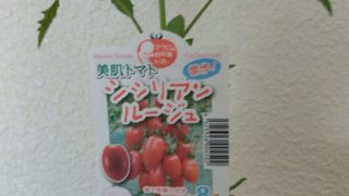 Thumbnail of post image 024