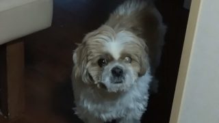 Thumbnail of post image 010