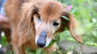 Thumbnail of post image 057