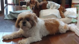 Thumbnail of post image 006