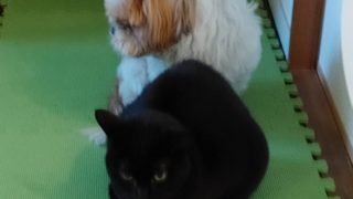 Thumbnail of post image 139