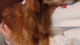 Thumbnail of post image 149