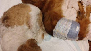 Thumbnail of post image 075