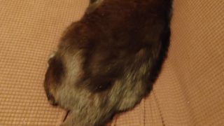 Thumbnail of post image 158