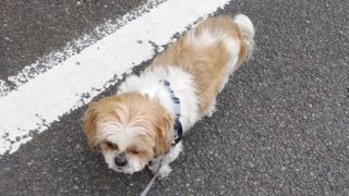 Thumbnail of post image 099