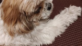 Thumbnail of post image 065