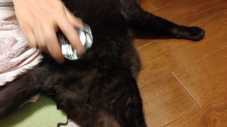 Thumbnail of post image 100