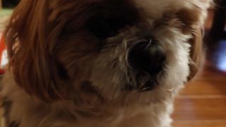 Thumbnail of post image 097