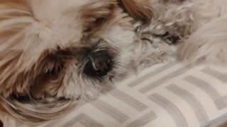 Thumbnail of post image 119