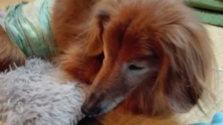 Thumbnail of post image 124