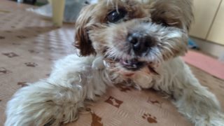 Thumbnail of post image 120