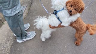 Thumbnail of post image 123