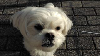 Thumbnail of post image 157